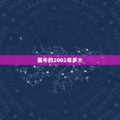 属牛的2002年多大，属牛人多大岁数