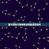 猴子和兔子属相相合爱情走势如何，属兔和属猴的婚姻怎么样