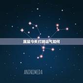 属鼠今天打牌运气如何，鼠人今日打麻将运气