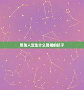 属兔人宜生什么属相的孩子，属兔生什么属相的孩子最好