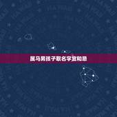 属马男孩子取名字宜和忌，属马的人忌讳什么名字