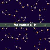 生肖智商排行榜之一名，什么生肖智商情商高