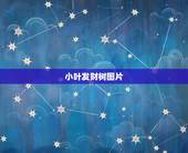 小叶发财树图片，发财树是什么样子的？