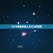 1979年属羊的人2022年运势，2022年属羊人的全年运势