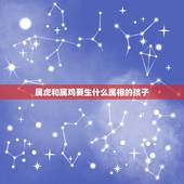 属虎和属鸡要生什么属相的孩子，女属虎男属鸡的生什么属相的孩子好~