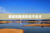 属鼠和属虎的合不合才，属鼠和属牛的合财吗