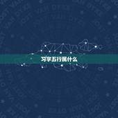 习字五行属什么，五行汉字查询表 歆字五行属什