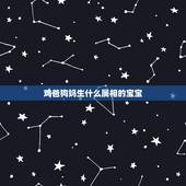 鸡爸狗妈生什么属相的宝宝，属鸡的爸爸和属鼠的妈妈生什么属相的宝宝好