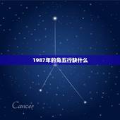 1987年的兔五行缺什么，兔五行缺什么