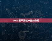 2003属羊男孩一生的命运，2003年羊男好不好