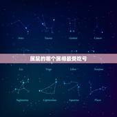 属鼠的哪个属相最受吃亏，属鼠的和什么属相最配