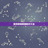 属狗婚姻属相配对大全，属狗婚配更佳属相