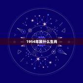 1954年属什么生肖，属马的最怕的三个生肖