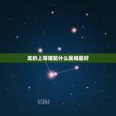 龙的上等婚配什么属相最好，龙与什么属相相配最好