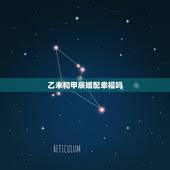 乙未和甲辰婚配幸福吗，乙未日壬午时和甲辰月戊辰时两人八字合吗