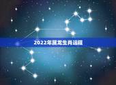 2022年属龙生肖运程，2024年属什么生肖