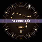 八字中喜神是什么意思，八字喜用神是什么意思