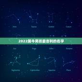 2022属牛男孩最吉利的名字，牛年男孩名字大全