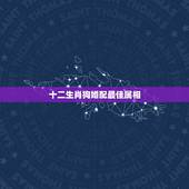 十二生肖狗婚配最佳属相，狗属相婚配表大全 属狗的和什么属相般配
