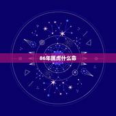 86年属虎什么命，1986年出生的男人（属虎）是什么命？（金木水火土）