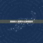 属猪的人遇到什么属相最好，属猪的和什么属相合作最好