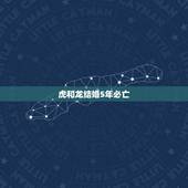 虎和龙结婚5年必亡，蛇和马配婚姻好不好