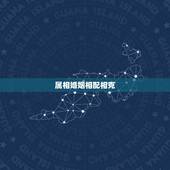 属相婚姻相配相克，婚姻真的有属相相克，一回事吗？