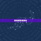 属相婚配重要性，属相婚配真的很重要吗？