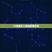 73年属牛人财运在哪方向，73年属牛的人今后几年财运如何