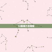 12属相三合婚配，属马的和什么属相最相配 12属相婚配表