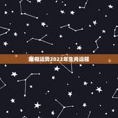 属相运势2022年生肖运程，2022年哪些生肖运势好今天什么生肖最旺财
