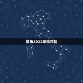属兔2022年桃花劫，2022年正缘桃花生肖