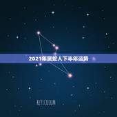 2021年属蛇人下半年运势，2021蛇人全年运势如何