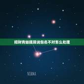 招财青蛙提现说包名不对怎么处理，青蛙跳跳乐为什么提现不出来，余额已达到