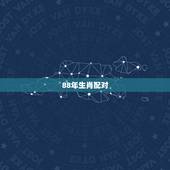 88年生肖配对，男88属龙更佳婚配属相