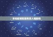 羊和蛇婚配能有贵人相助吗，蛇和羊的属相相配好吗