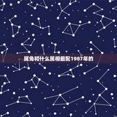 属兔和什么属相最配1987年的，男87年7月属兔和什么属相最配