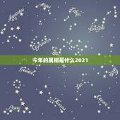 今年的属相是什么2021，2021年今天属相是什么