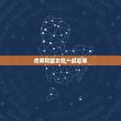 虎男和鼠女在一起后果，女鼠男虎属于哪种婚姻
