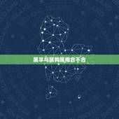 属羊与属狗属相合不合，羊和狗结婚对谁不利