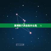 属羊的八月出生什么命，8月羊一生命运如何