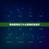 母亲属狗生个什么属相的宝宝好，属狗的生什么属相的孩子好