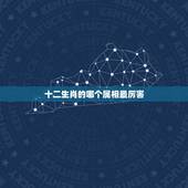 十二生肖的哪个属相最厉害，十二生肖什么动物的眼睛最厉害