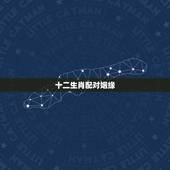 十二生肖配对姻缘，生肖婚姻更佳配对表大全