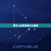 属牛人出殡忌讳什么属相，出殡时辰与属相相冲应怎么办