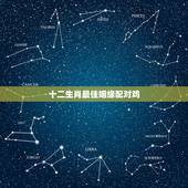 十二生肖最佳姻缘配对鸡，属相婚配