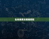 生肖表男女婚姻搭配，十二生肖婚姻配对大全？