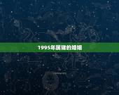 1995年属猪的婚姻，1995年属猪和猪同婚姻