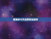 属猪的今天运势财运如何