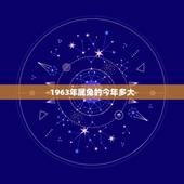 1963年属兔的今年多大，1963年多大